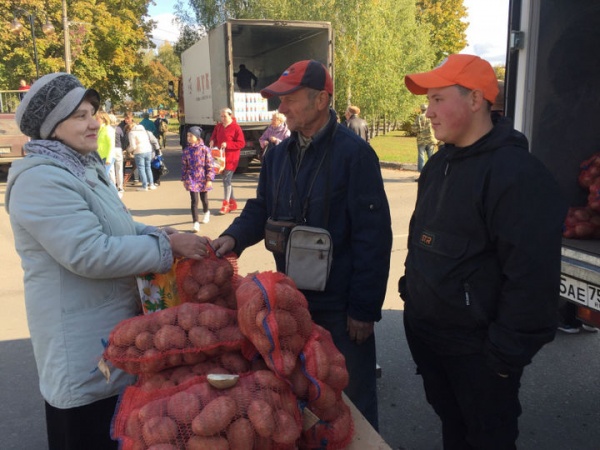 Луховичане покупают овощи по доступным ценам