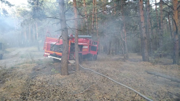 40 лесных пожаров ликвидировали в Подмосковье за сентябрь