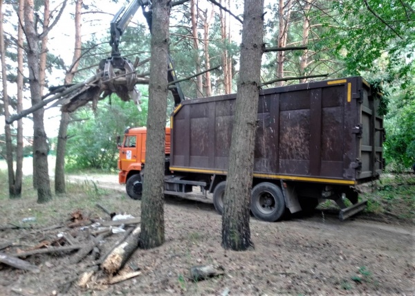 Около 30 кубометров мусора вывезли из леса под Коломной