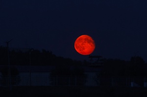 Жители Коломны смогут увидеть «кровавую» Луну 