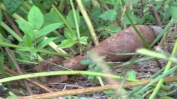 Взрывотехники обезвредили мину в Щуровском лесу