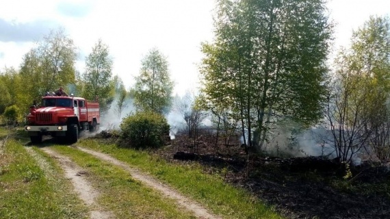 За выходные в Подмосковье ликвидировали 4 лесных пожара