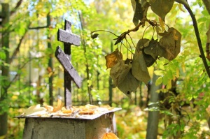 Власти пересчитают брошенные могилы на кладбищах Коломны