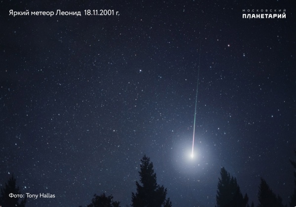 Сегодня ночью можно будет увидеть звездопад Леониды