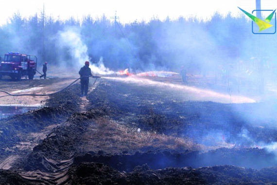 В лесах Луховиц объявлен третий класс пожарной опасности 