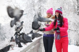 Коломенцы помогают птицам пережить холода
