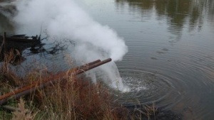 Сброс отходов в Луховицком районе привел к гибели рыбы в искусственном водоеме