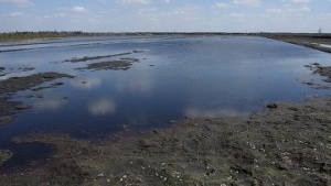 Проверка систем обводнения торфяников стартовала в Подмосковье