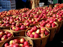 В этом году ожидается большой урожай яблок