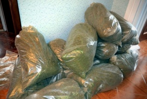 За прошлый год в Подмосковье изъяли почти 2 тонны наркотиков