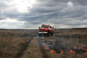Самый опасный природный пожар 2017 года произошел в апреле в Луховицах 