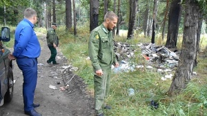 В луховицких лесах нашли мусор