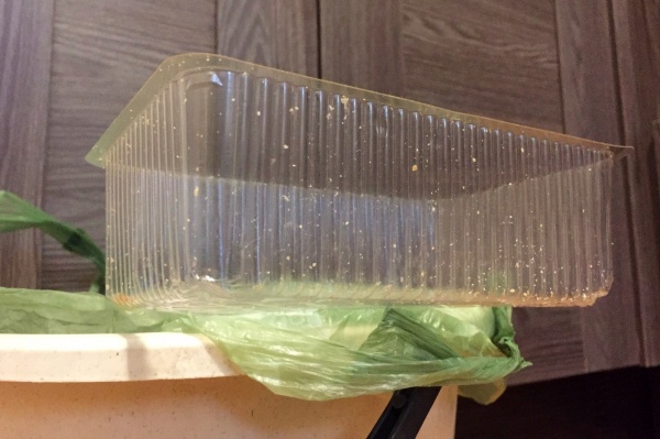 "РТ-Инвест" запустил тестовую переработку пластикой упаковки для доставки еды