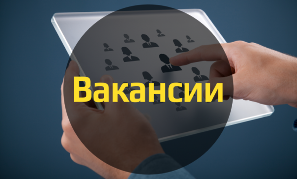 В Мособлдуме обсудили законопроект о занятости в РФ