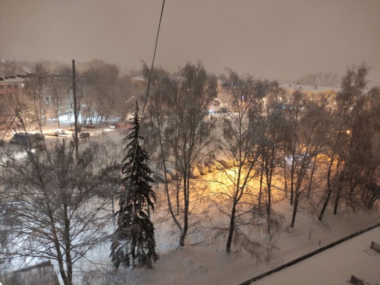 Первое января в Подмосковье может побить рекорд по теплу
