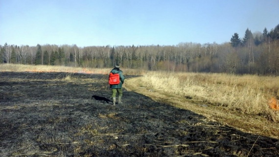 В Подмосковье произошло уже больше 500 травяных пожаров