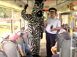 Школьники прокатились на трамвае с зеброй