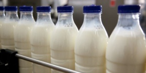 Фальсифицированное молоко из Белоруссии обнаружено в Коломне