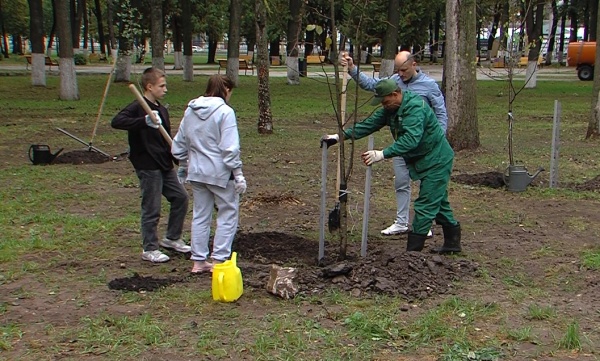 Коломенские школьники посадили деревья в обновлённом парке Мира