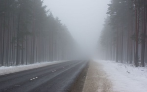 МЧС сгущает краски: Московскую область может накрыть сильный туман