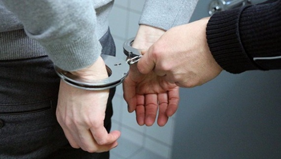 Коломенские полицейские поймали домушников