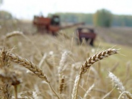 Коломенские фермеры отмечены областными наградами