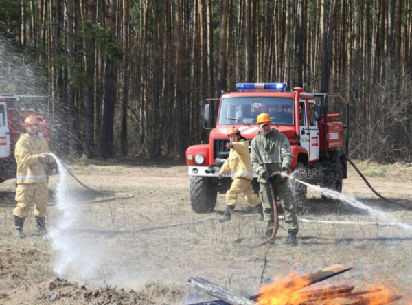 В луховицких лесах с начала этого года произошли пять пожаров