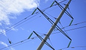 Мособлэнерго провело расчистку более 120 га просек вблизи линий электропередачи в регионе