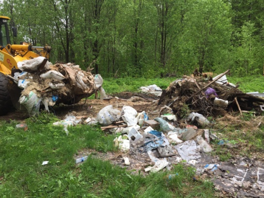 В коломенских лесах ищут навалы мусора