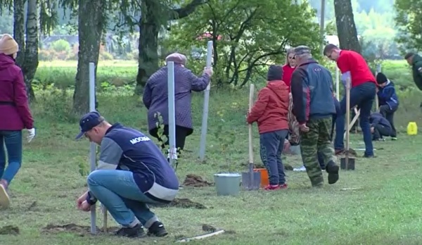 В Биорках посадили сотни саженцев березы