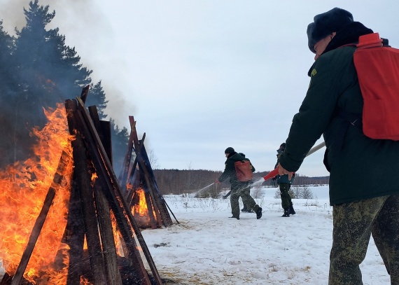 В Луховицах прошли межведомственные учения по тушению лесных пожаров