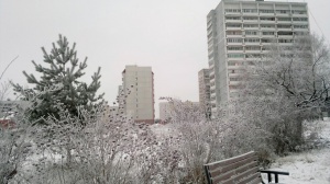 Сегодня в Московской области ожидается небольшой снег и гололед