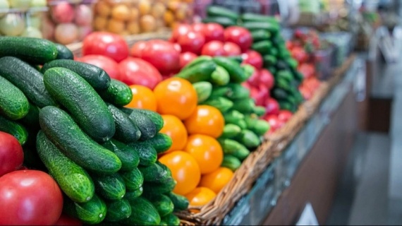 В Подмосковье продолжают снижаться цены на овощи