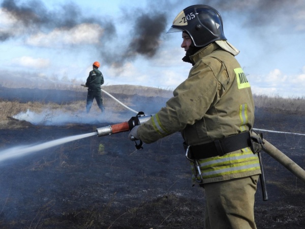 В Луховицах спасатели предотвратили распространение огня на жилые дома 