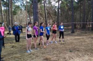 Золото и серебро коломенских легкоатлетов на кроссе в Жуковском