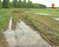 Дело нечистое. Единственную дорогу к дачным участкам СНТ "Речки" постоянно заливает навозной жижей