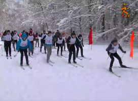 Зимний фестиваль ГТО в Коломне открылся лыжной гонкой