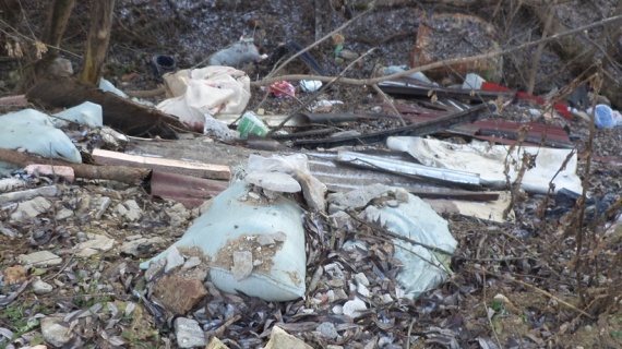 На Беспятовском пруду в Зарайске собрали 12 кубометров мусора