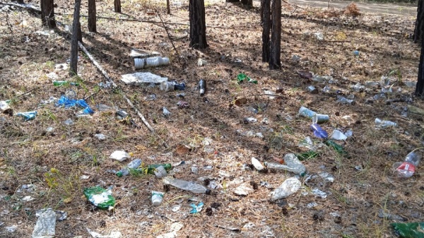 Воскресенские лесничие обсудили "мусорный вопрос" с администрацией округа
