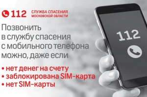 Пилотное мобильное приложение "112" планируют запустить в Подмосковье этим летом