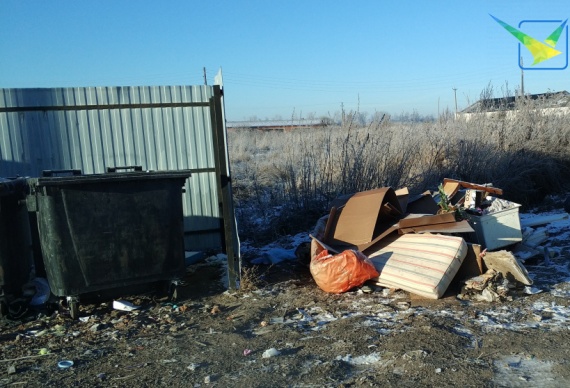  20 фактов несанкционированных сбросов отходов выявили в Луховицах