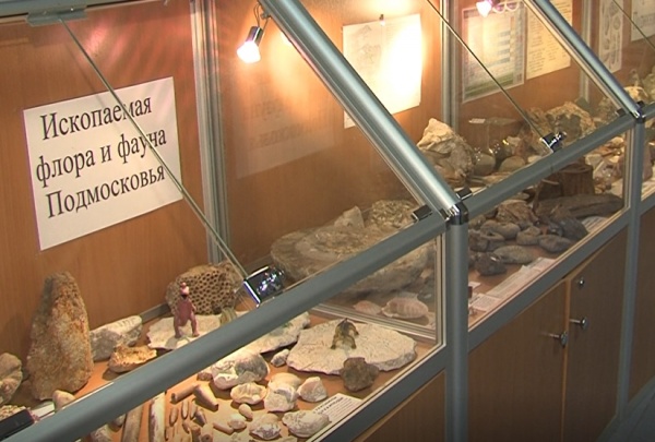 В Луховицах возрождают геологический музей