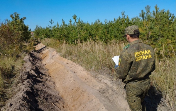 В Маливском участковом лесничестве обновлены минерализованные полосы