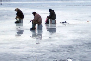Двое рыбаков провалились под лед в Луховицах