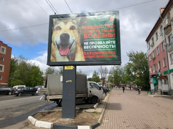 Профилактика бешенства в Московской области