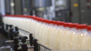 Молочный завод в Коломне оштрафовали за антисанитарию