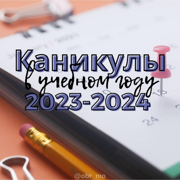 Как будут отдыхать в новом учебном году коломенские школьники?