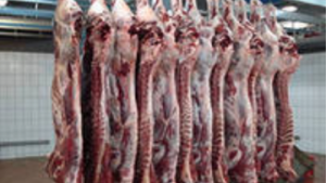 Россельхознадзор выявил нарушения в хранении мяса в коломенском "Перекрестке"
