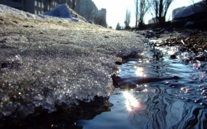 Зима пришла в Московскую область ненадолго
