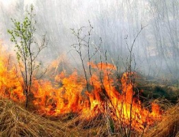 При тушении пала травы в Коломенском районе погиб пожарный